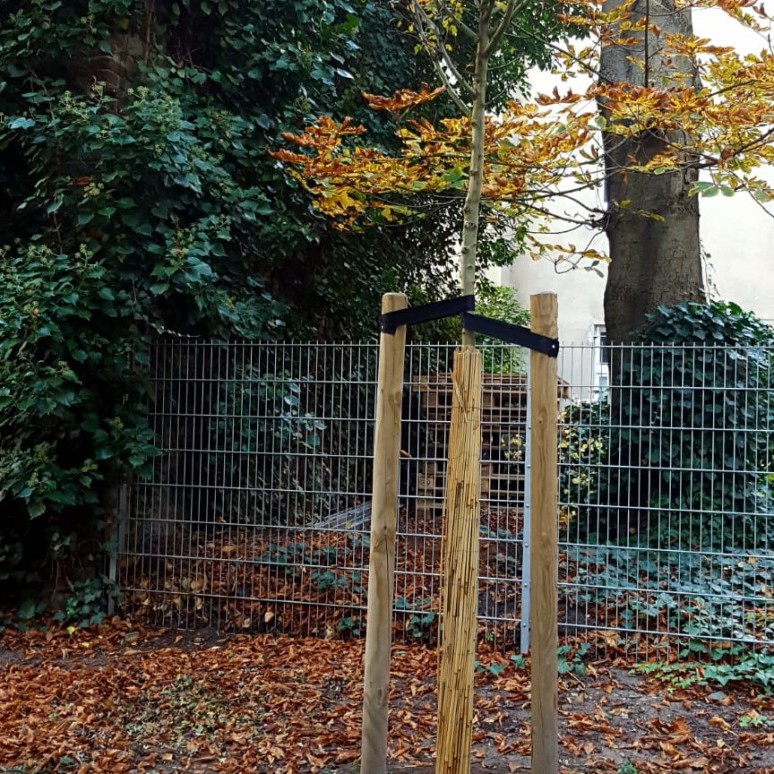 GPS Berlin - Baumdienst und Baumfällungen