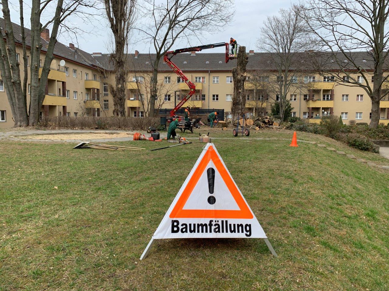 GPS Berlin - Baumdienst und Baumfällungen