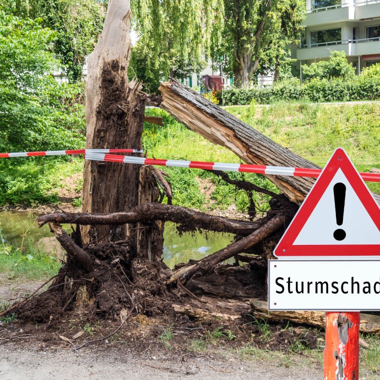 GPS Berlin - Baumdienst und Baumfällungen, Notbaumfällung in Berlin – schnelle Hilfe bei akuter Baumgefahr