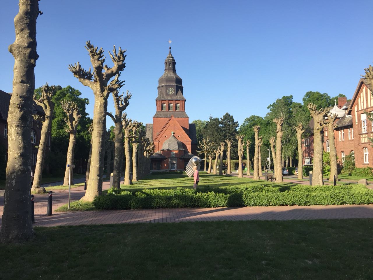 GPS Berlin, Baum, Gro&szlig;baumverpflanzung, Gartengestaltung, B&auml;ume, Garten