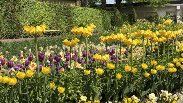 Effiziente Gartenbewässerung in Berlin | GPS Berlin