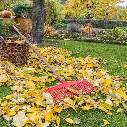 Kompostplatz, Laubentsorgung Berlin, Gartenabfälle, Grünschnittentsorgung, Baumschnittentsorgung