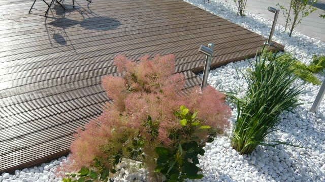 Terrassenbau vom Profi in Berlin und Brandenburg.