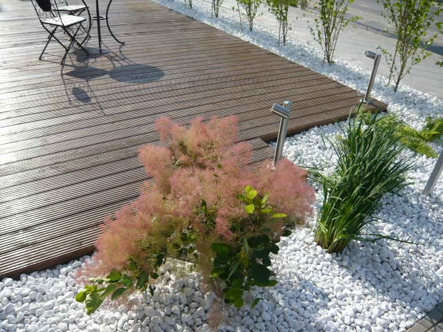 Terrassenbau vom Profi in Berlin und Brandenburg.