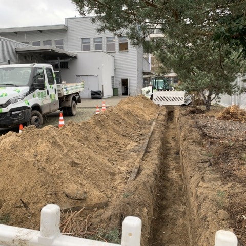 Baumschutz, Baubegleitung, Galabau, Ausschachtung, ökologisch, Garten- und Landschaftsbau