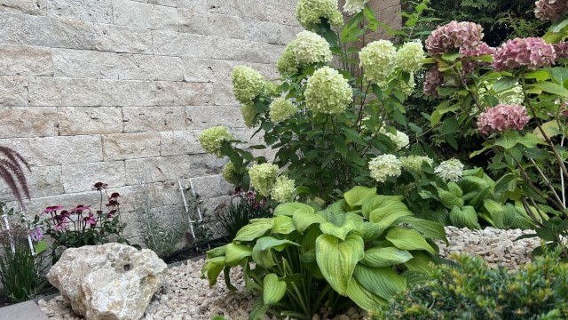 Gartengestaltung, kleine Gärten, GalaBau, Garten und Landschaftsbau, Pflanzen, Garten, Steinteppich