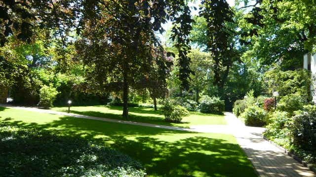 Natürlicher Schattenschutz im Garten | GPS Berlin
