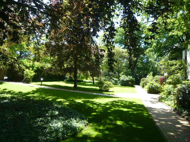 Nat&uuml;rlicher Schattenschutz im Garten | GPS Berlin